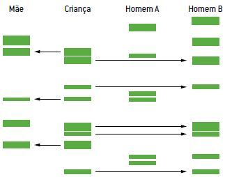 Exemplo 3 de um teste de DNA