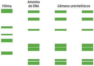 Exemplo 4 de um teste de DNA