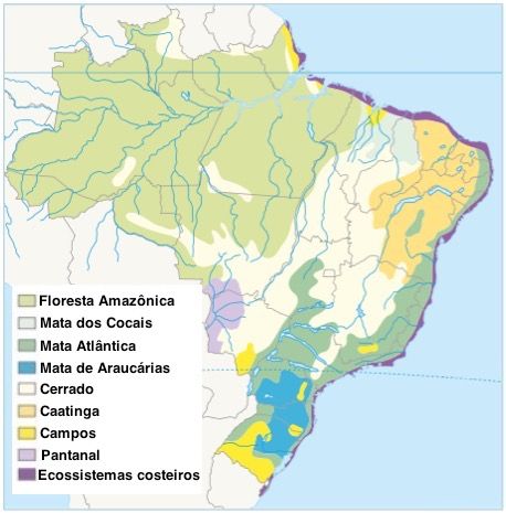 Mapa do Brasil com os ecossistemas brasileiros demarcados.