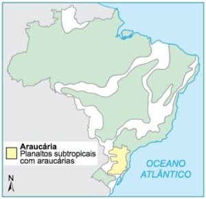 Mapa do Brasil com a localização das Araucárias.