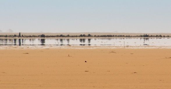 Miragem ocorrendo em um deserto.