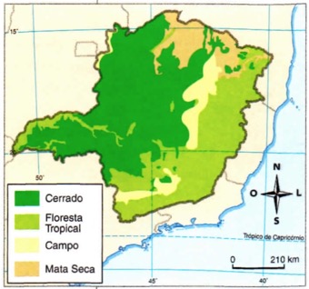 Mapa indicando a localização das diferentes vegetações de Minas.