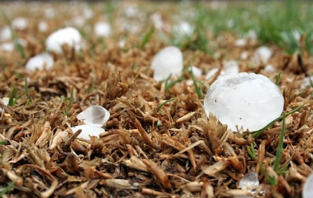 Foto de pedras de granizo.