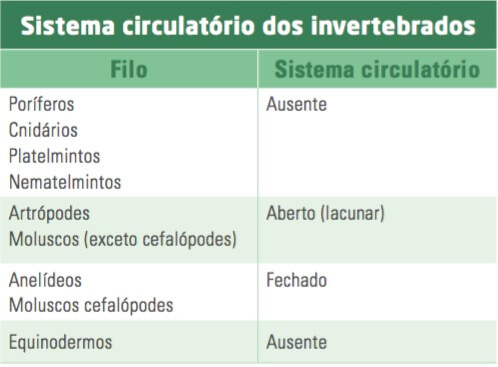 Sistemas circulatórios dos invertebrados.