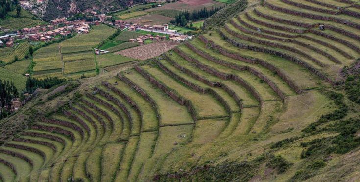 Foto de uma plantação na montanha.