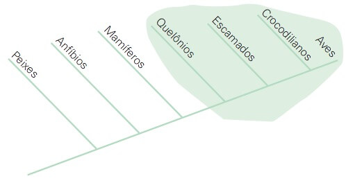 cladograma mono­filético