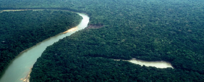 Floresta Amazônica