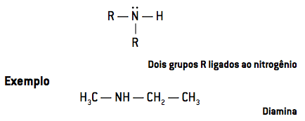 Dois grupos R ligados ao nitrogênio.