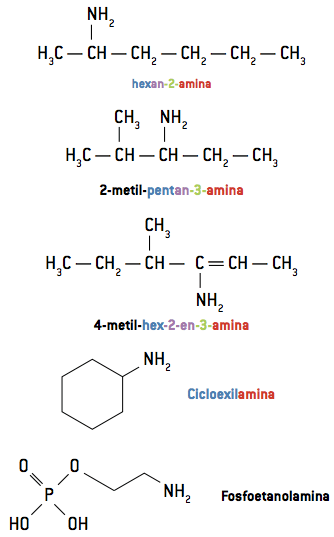 Nomenclatura de aminas.