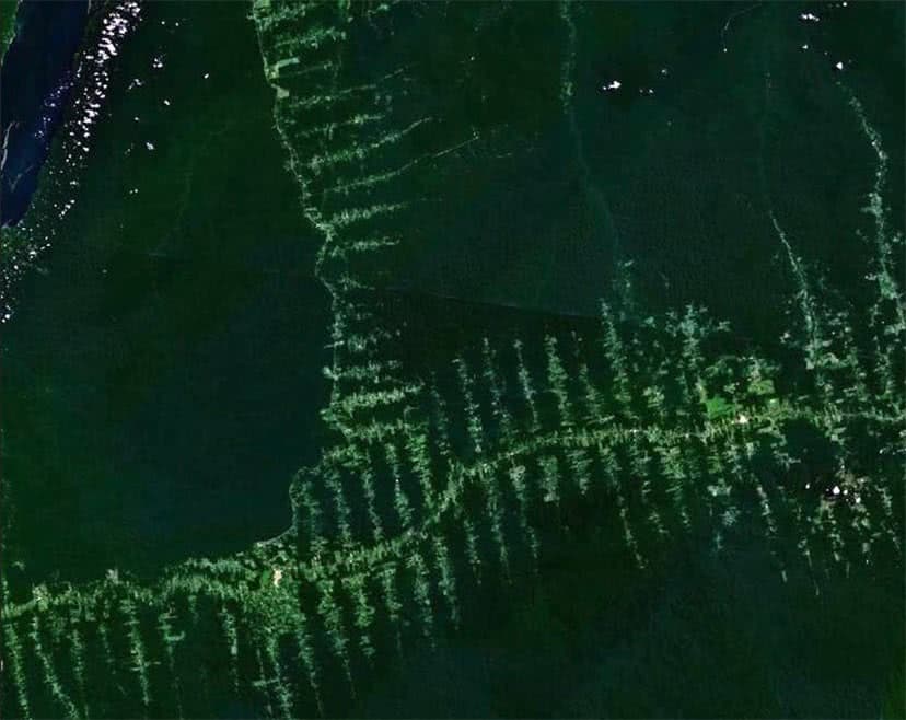 Foto tirada por satélite do desmatamento na Amazônia.