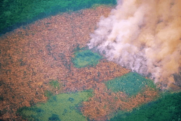 Foto de uma queimada na Floresta Amazônica.