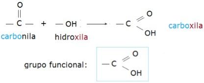 Ácidos Carboxílicos