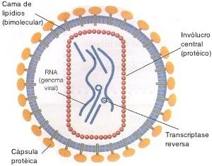 Vírus HIV