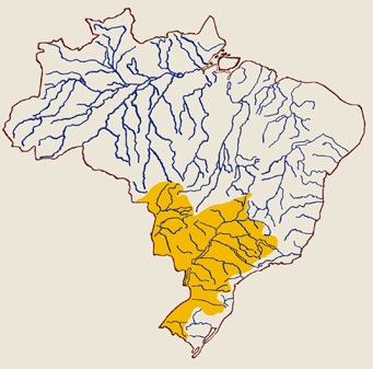 Mapa da bacia Platina