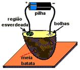 Experiência da batata