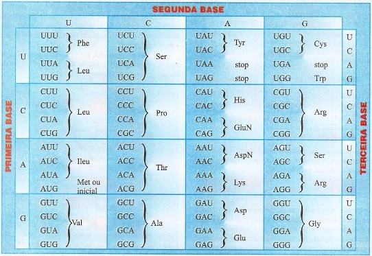 Tabela com o código genético