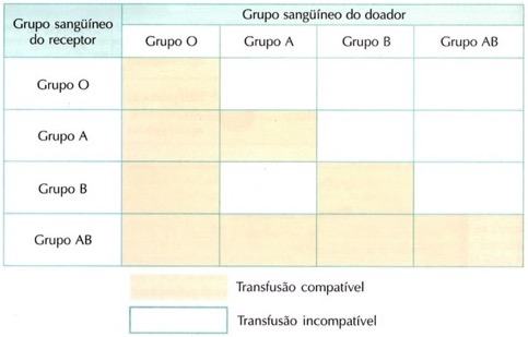 Compatibilidade dos grupos snaguíneos