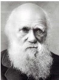 Retrato de Charles Darwin