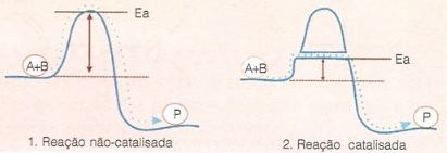 Reação catalisada por enzima