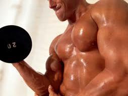 Exercício de força muscular
