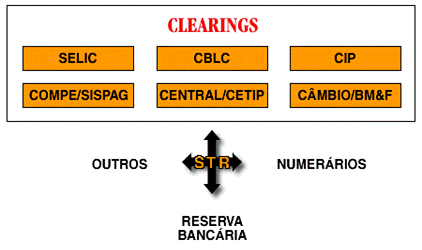 Novo Sistema de Pagamentos Brasileiro