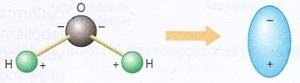 polarização da molécula de água