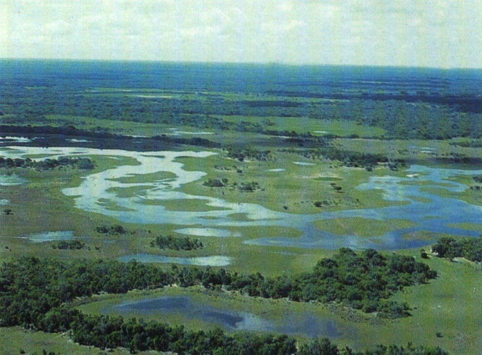 Paisagem do Pantanal