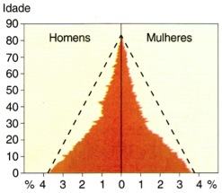 Composição etária, segundo idades individuais