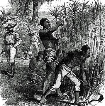 Escravos negros em uma plantation de cana-de-açucar