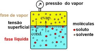 Pressão de Vapor