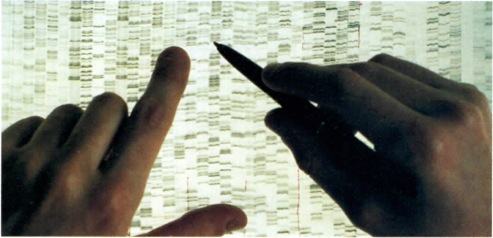 Uma pessoa interpretando as sequências de DNA do Projeto Genoma Humano