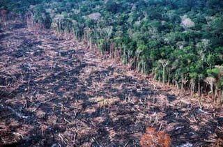 Queimada na amazônia