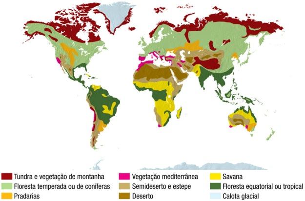 Biomas Terrestres - tundra, taiga, florestas, campos - Cola da Web em  2023